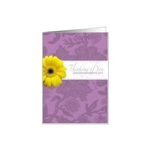  Thinking of you   Grandparents Day Card Health & Personal 