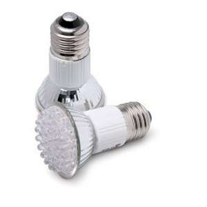  LED Light Bulbs (Set of 2)