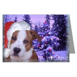 Snow at Dusk Greeting Cards Package of Rescue Greeting Cards Pk of 10 