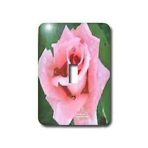  Lee Hiller Designs Roses   Pale Pink Rose   Light Switch 