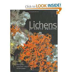    Lichens of North America [Hardcover]: Mr. Irwin M. Brodo: Books