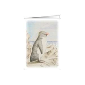 Rockhopper Penguin Card