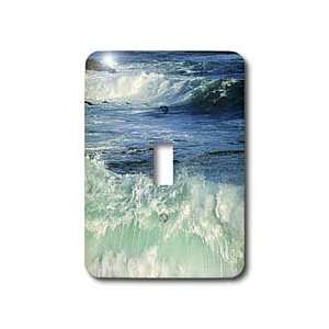 Florene Water landscape   Pacific Ocean Waves   Light Switch Covers 