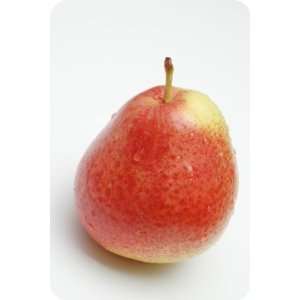Comice Pears   Avg 22 Lb Case: Grocery & Gourmet Food