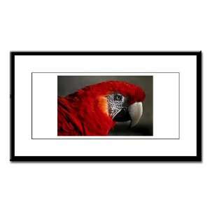  Small Framed Print Scarlet Macaw   Bird: Everything Else