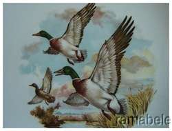 Weatherby Hanley Royal Falcon Ware Bird Duck Plates (4)  