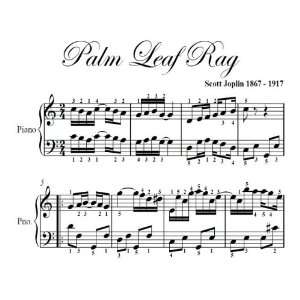   Leaf Rag Scott Joplin Big Note Piano Sheet Music: Scott Joplin: Books