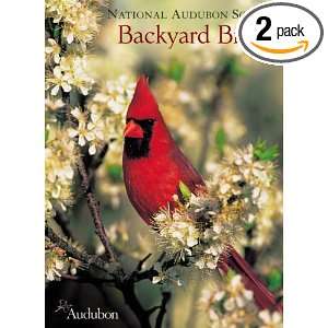  Pomegranate Backyard Birds Standard Boxed Note Card Set 