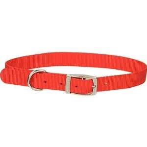   1 Single Ply Nylon Dog Collar in Red