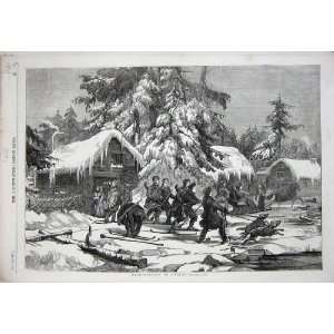  Bear Hunting Sweden Sport 1856 Snow Skis Dogs Animals 