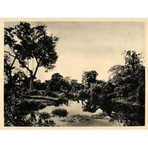  1930 Swamp Land Leopoldville Kinshasa Congo Landscape 