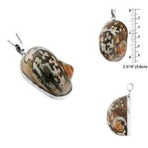   Silver Large Oval Pendant with Brown White Turbo Shell: Jewelry