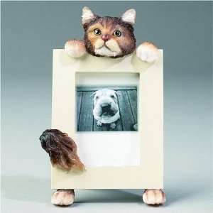  Maine Coon Cat Picture Frame (2 1/2 X 3 1/2) Everything 