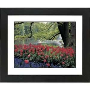  Red Spring Black Frame Giclee 23 1/4 Wide Wall Art: Home 