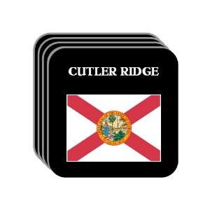  US State Flag   CUTLER RIDGE, Florida (FL) Set of 4 Mini 