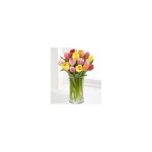 Rush of Color Assorted Tulip Bouquet  Grocery & Gourmet 