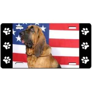  Bloodhound License Plate