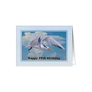  Happy Birthday, 99th, Royal Tern Bird Card: Toys & Games