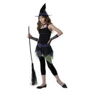  California Costumes 194814 Spunky Witch Child Costume 