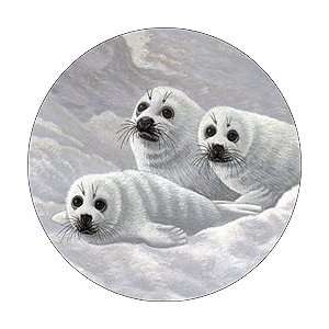 Harp Seal Pups Spare Tire Cover: Sports & Outdoors