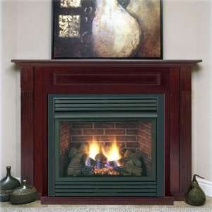  33 inch Propane Direct Vent Fireplace System With Millivolt Control