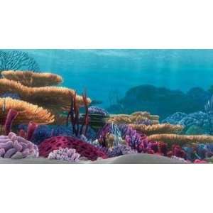    Tetra Disney Aquarium Background   Coral Reef: Pet Supplies
