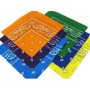   Pack Double Sided Print Paisley Bandana Scarf, Head Wrap: Toys & Games