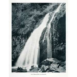   Nature Scenery Mt. Rainier   Original Halftone Print