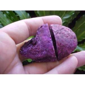  E8603 Gemqz Purple Agate Hollow Geode Pair Beautiful 
