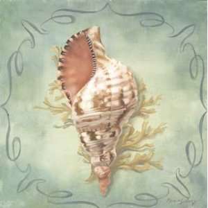 Seashells I Finest LAMINATED Print Marissa Decinque 13x13:  