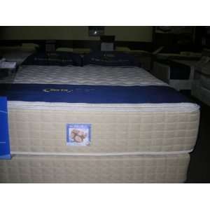    Perfect Sleeper Joline Firm Twin Set   Serta