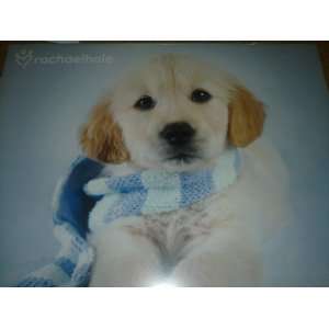  Rachael Hale Dogs 2011 Wall Calendar: Office Products