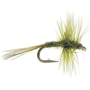 Midge Size 20; Color Olive 