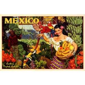  Mexico, Land of Tropical Splendor   Poster (20.5X14.5 