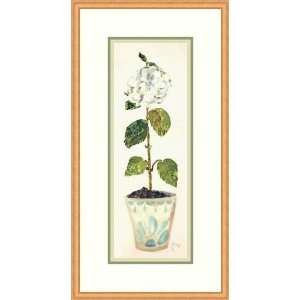   Heavenly Hydrangea by Hazel Burrows   Framed Artwork