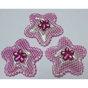 30pc Vantage Rose Glitter Stars Felt Padded Applique Embellishment 