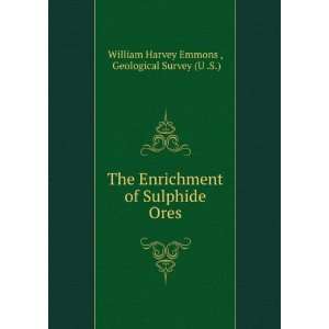  The enrichment of sulphide ores William H. Emmons Books