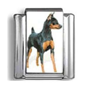  Miniature Pinscher Dog Photo Italian Charm: Jewelry