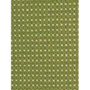  Pindler & Pindler Matrix   Grass Fabric: Arts, Crafts 