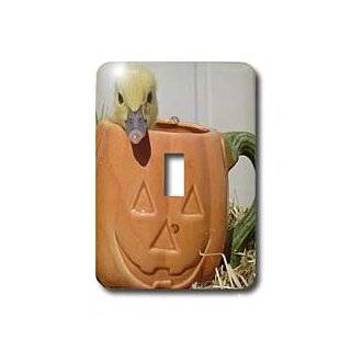 Cassie Peters Halloween   Muscovy Duckling in Jack O Lantern Mug 