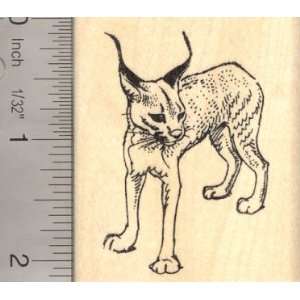  Caracal Cat Rubber Stamp: Arts, Crafts & Sewing