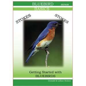   Bluebird DVD Video Information On All Three Species Of Bluebirds Home