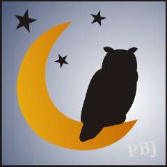 New Stencil #TT45 Primitive Owl Moon and Stars Shape design   paint 