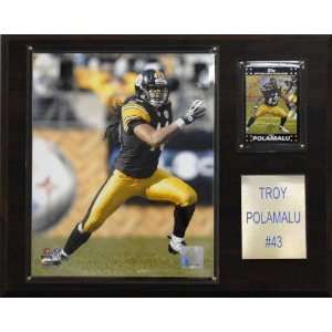  NFL Troy Polamalu Pittsburgh Steelers Player Plaque 