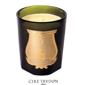  Cire Trudon ~ SPIRITUS SANCTI Candle: Home & Kitchen