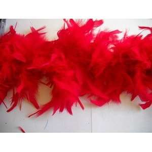  2 Yard Red Chandelle Feather Boa 60 Grams: Arts, Crafts 