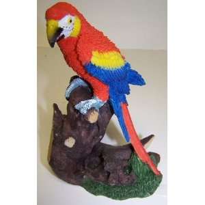 Scarlet Macaw on Perch 6in