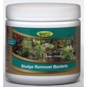  Easy Pro Sludge Remover Bacteria DRY (12 ct): Patio, Lawn 
