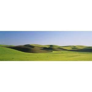  Wheat Field on a Landscape, Whitman County, Washington 
