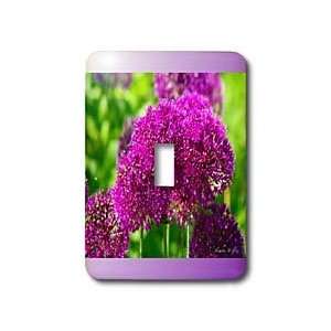 SmudgeArt Photography Art Designs   Color Me Purple Flowers   Light 
